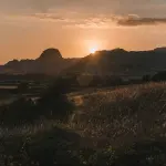 Le spiagge più belle della Sardegna: una guida ai tesori naturalistici dell'isola